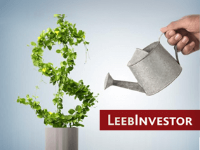 leebinvestor_preview.png